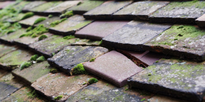 Wavertree roof repair costs